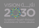 Vision 2030 Logo